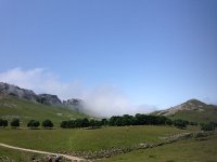 IMG 5249  the pastures