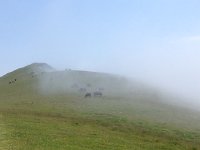IMG 5268  fog rolls over the herds