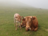 IMG 5272  more moms and babies