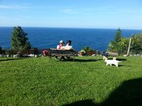 20170607 185143  coming for a visit