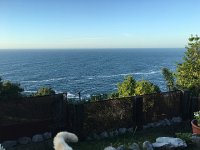 IMG 2203  like the tail