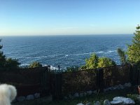 IMG 2204  tail again