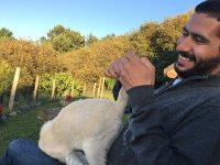 IMG 2208  making knitting difficult