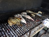 IMG 5059  fish grilling
