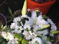 IMG 5084  flower market