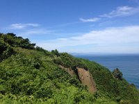 IMG 5090  lush headlands