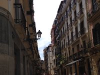 IMG 5103  staying in the shade