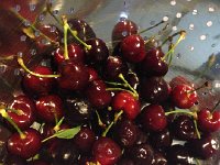 IMG 5128  cheeries for dinner