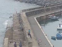 20170609 172055  no walking allowed!