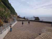 IMG 5129  Comb of the Wind