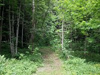 20170601 153808  1 JUne - weed-whacked trail head for le Cubly