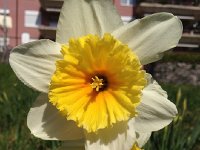 IMG 4459  it&#39;s nature art