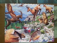 20170304 105529  4 March - a puzzle for the grandchildren!