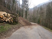 20170325 165217  log deck near le Pont de Pierre