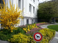 20170326 132016  26 March - Lausanne park