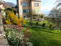 20170330 180959  along the road