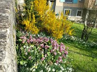 20170330 181019  details