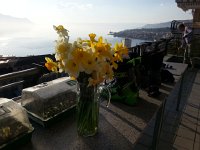 20170317 164723  Meanwhile back at the ranch....