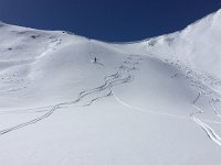 IMG 1829  Me looking for less tracked