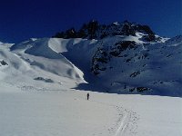 IMG 20170316 090339  Nice shapes