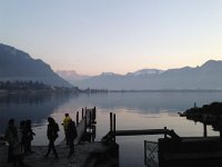 IMG 4437  every few minutes they took some photos