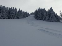 20170308 091048  out of focus but nice track!