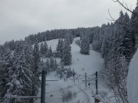 20170308 091328  Others out there too!