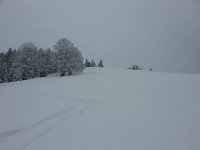 20170308 101016  Wintry gray