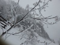 20170301 123927  Rime