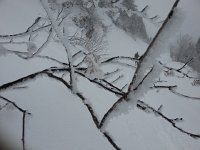 20170301 123935  Rime