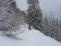 20170301 123147  1 March - documented elsewhere in this album