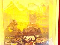 IMG 4410  we&#39;re starting to think about decorating. This is taken in a plastic sleeve at the Swiss Bazaar on Grand Rue