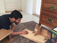 IMG 4010  getting acquainted with the stratching material