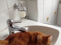 IMG 4022  time for a bath?