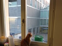 IMG 4046  view on the neighborhood