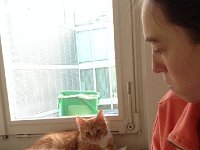 IMG 4063  getting a good view