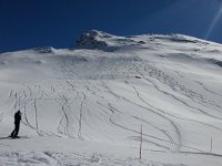 20170327 153720  Tracks but not ours!