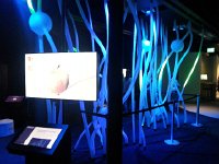 20170520 191711  neurons