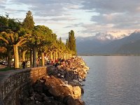 20170520 204212  sycamores