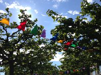 IMG 4797  Along the quai