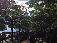 IMG 4798  toward Vevey