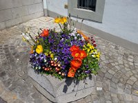 20170521 124946  lovely village flowers