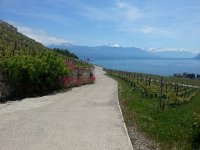 20170521 132351  my photo