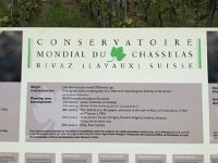 IMG 0967  explanation