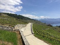 IMG 0968  the terroit