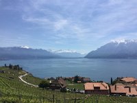 IMG 0970  classic view