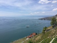 IMG 0983  boats cruising