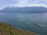 IMG 0985  steaming along