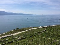 IMG 0986  pleasure craft for observing