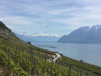 IMG 0987  flotilla approaches